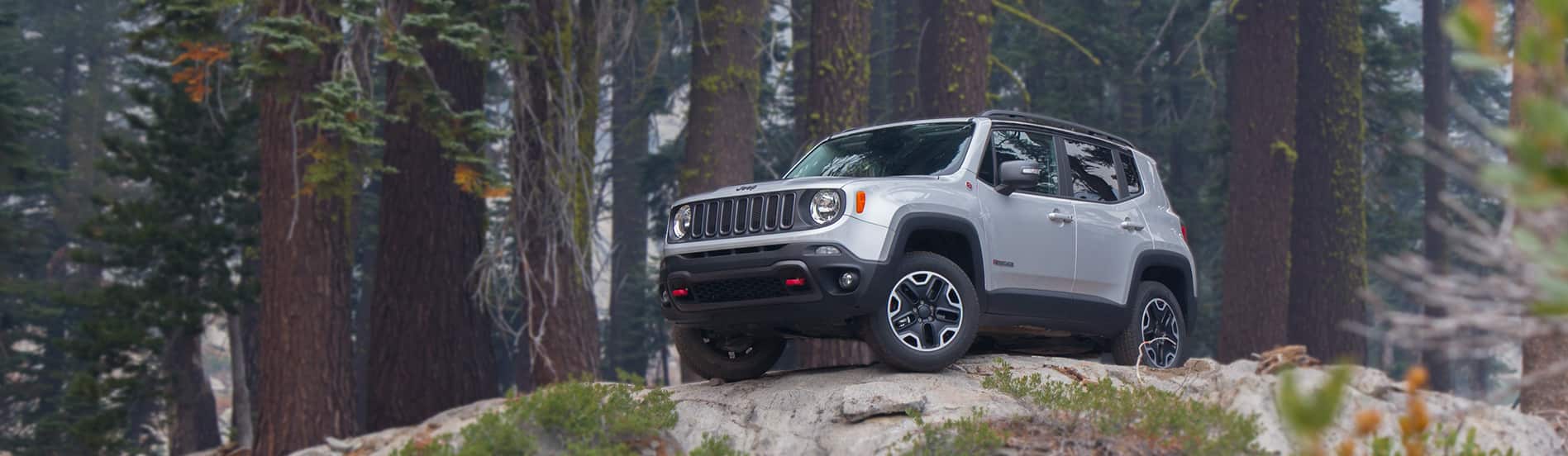 2015 Jeep Renegade Trailhawk Anvil