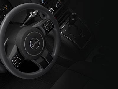 jeep patriot steering wheel controls