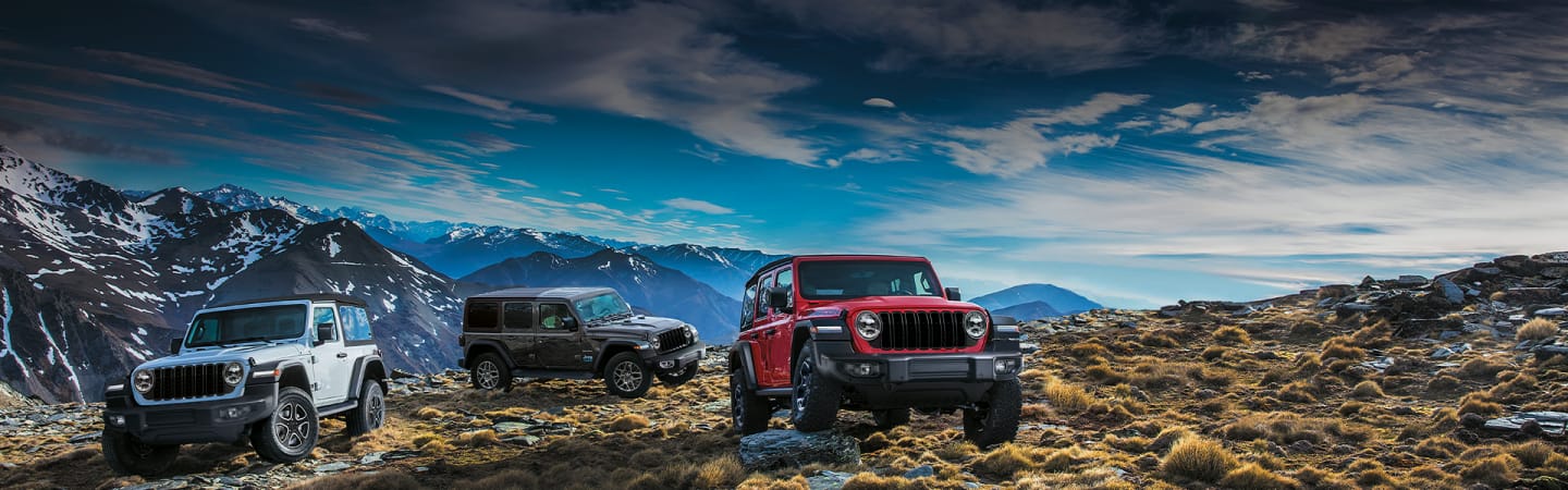 Jeep family