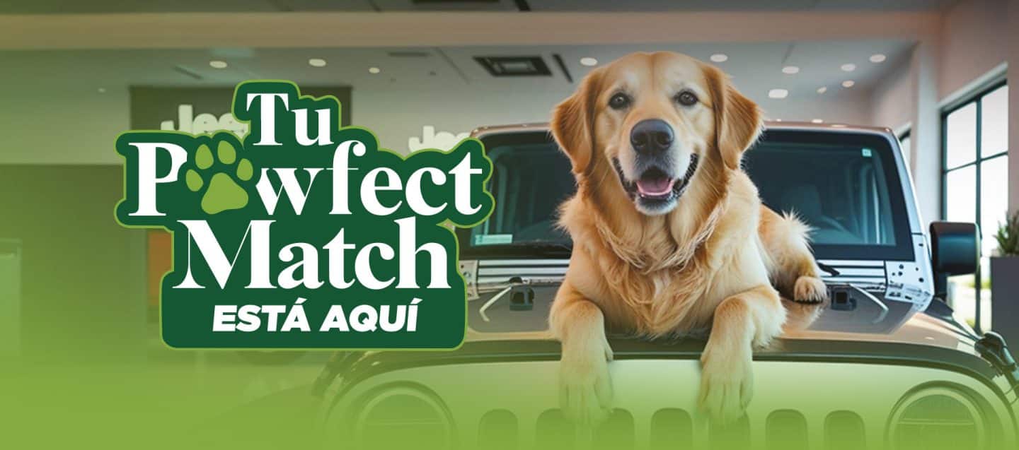 Imagen de Perro encima de Jeep Wrangler y logo del evento Pawfect Match.