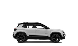 Avenger