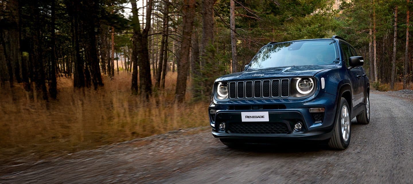 Jeep Renegade 2024 син