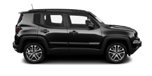New Renegade