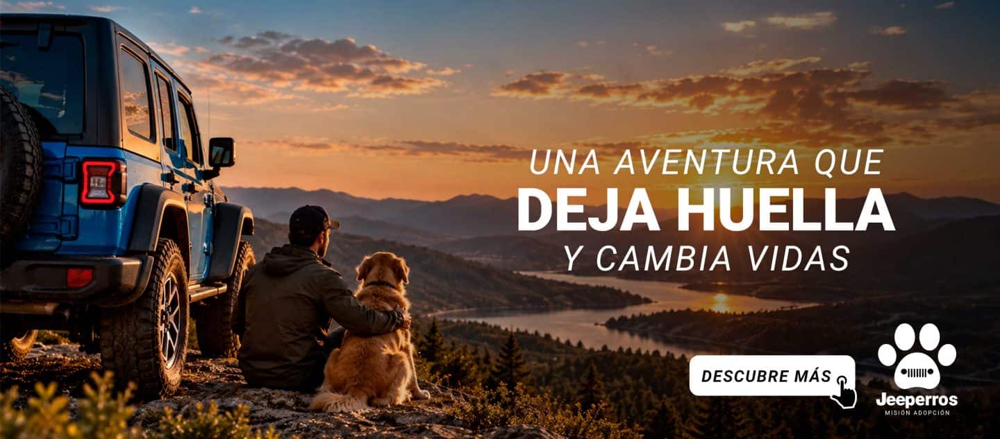 jeep perros