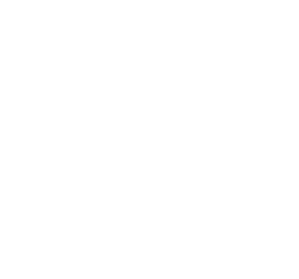 Rescatando Perritos