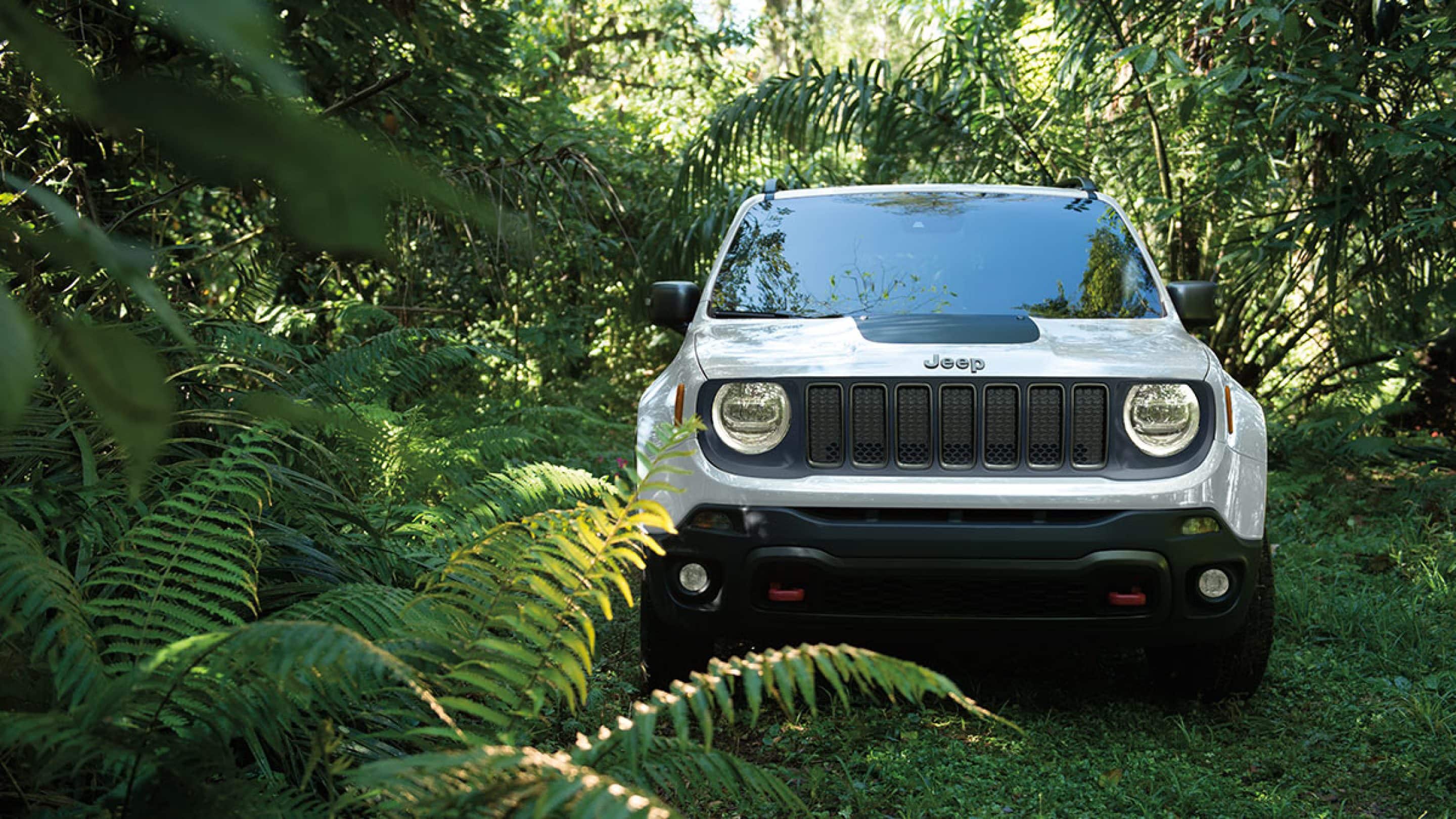2019 Jeep Renegade #4