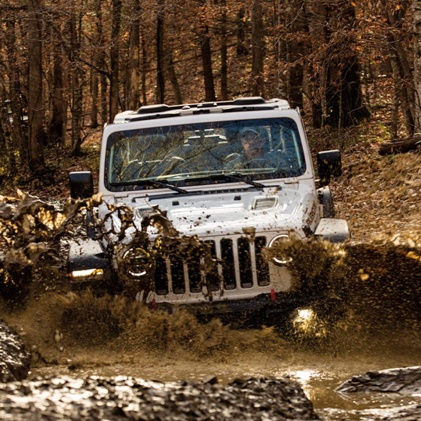 2020 Jeep Wrangler Trail Rated Capability