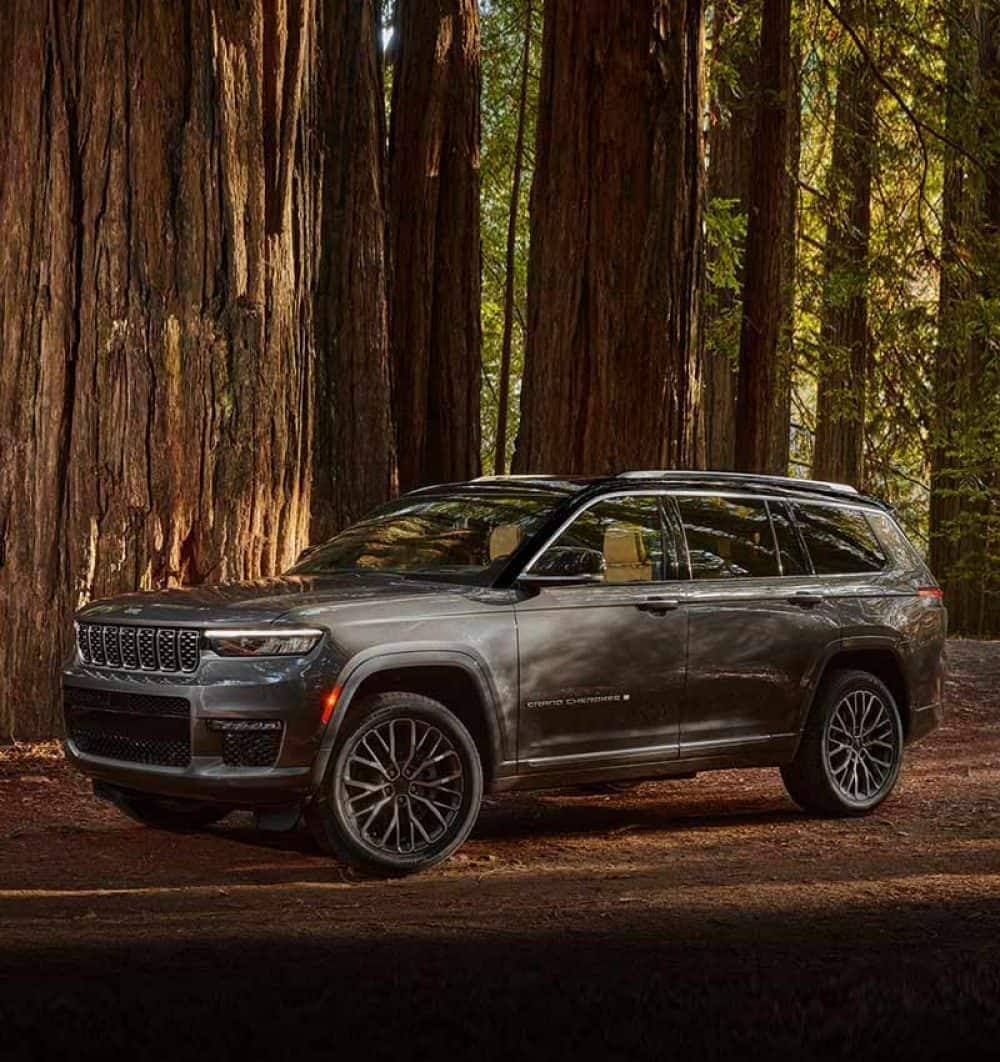 Trim Levels of the 2021 Grand Cherokee L