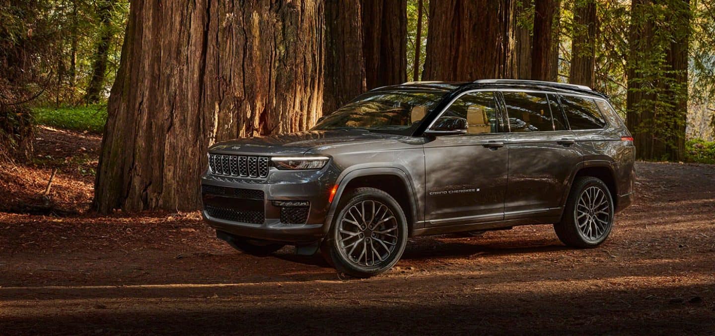 Display The 2022 Jeep Grand Cherokee Summit Reserve parked on a dirt trail in a redwood forest.