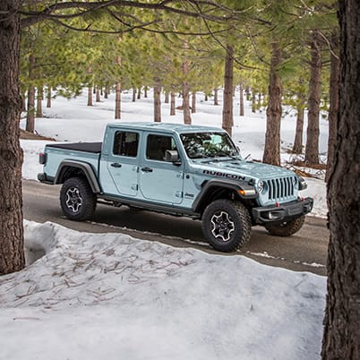 Wrangler pickup hotsell