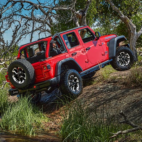 Jeep wrangler JL 1:14 Tür manuell 2,4 GHz