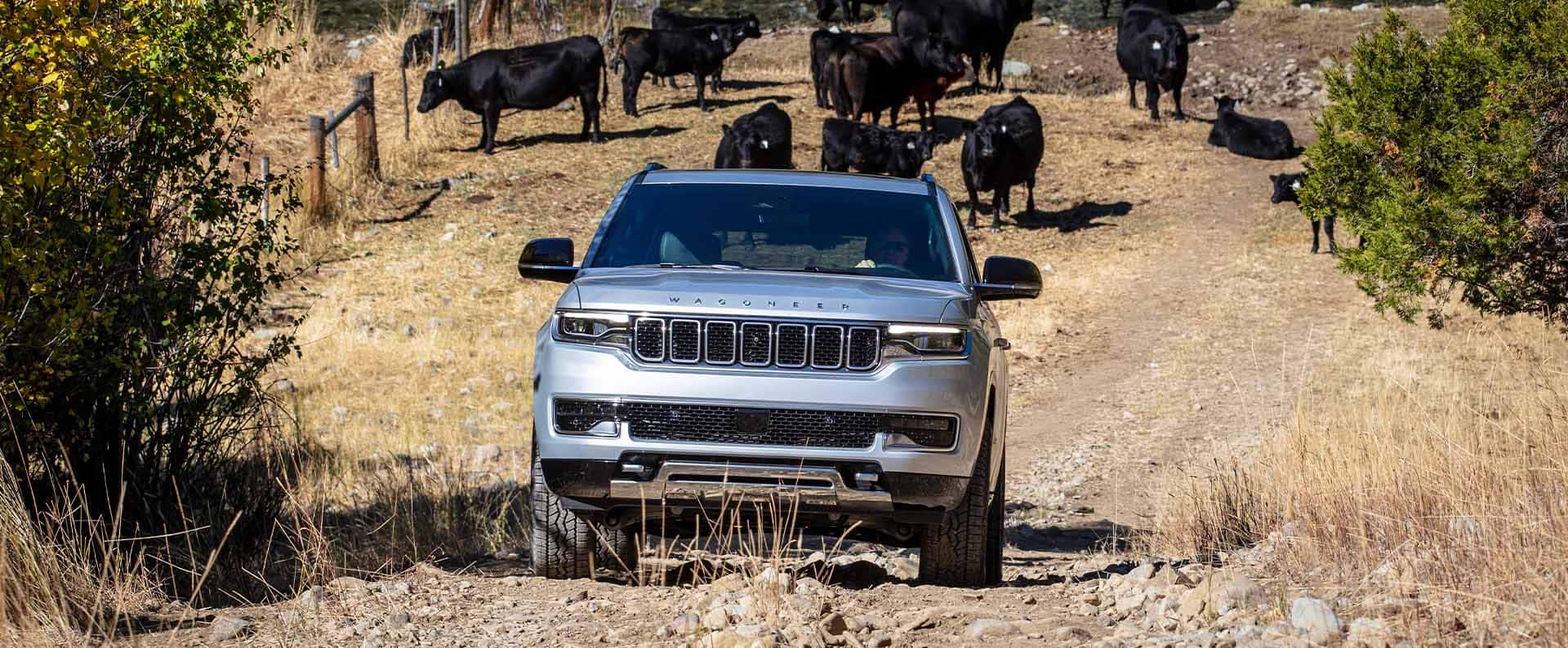 Un Jeep Wagoneer Serie III 2025 plateado en un sendero con un rebaño de ganado detrás.