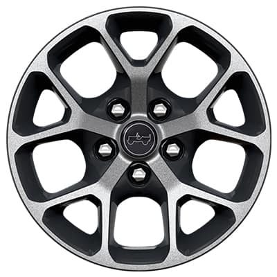 Display 17-Inch Machined with Black Painted Pockets — Available on Sport S