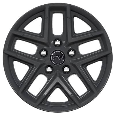 Display 17-Inch Mineral Gray — Standard on Sport S 