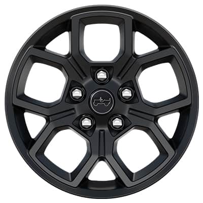 Display 17-Inch Painted Black — Standard on Willys 