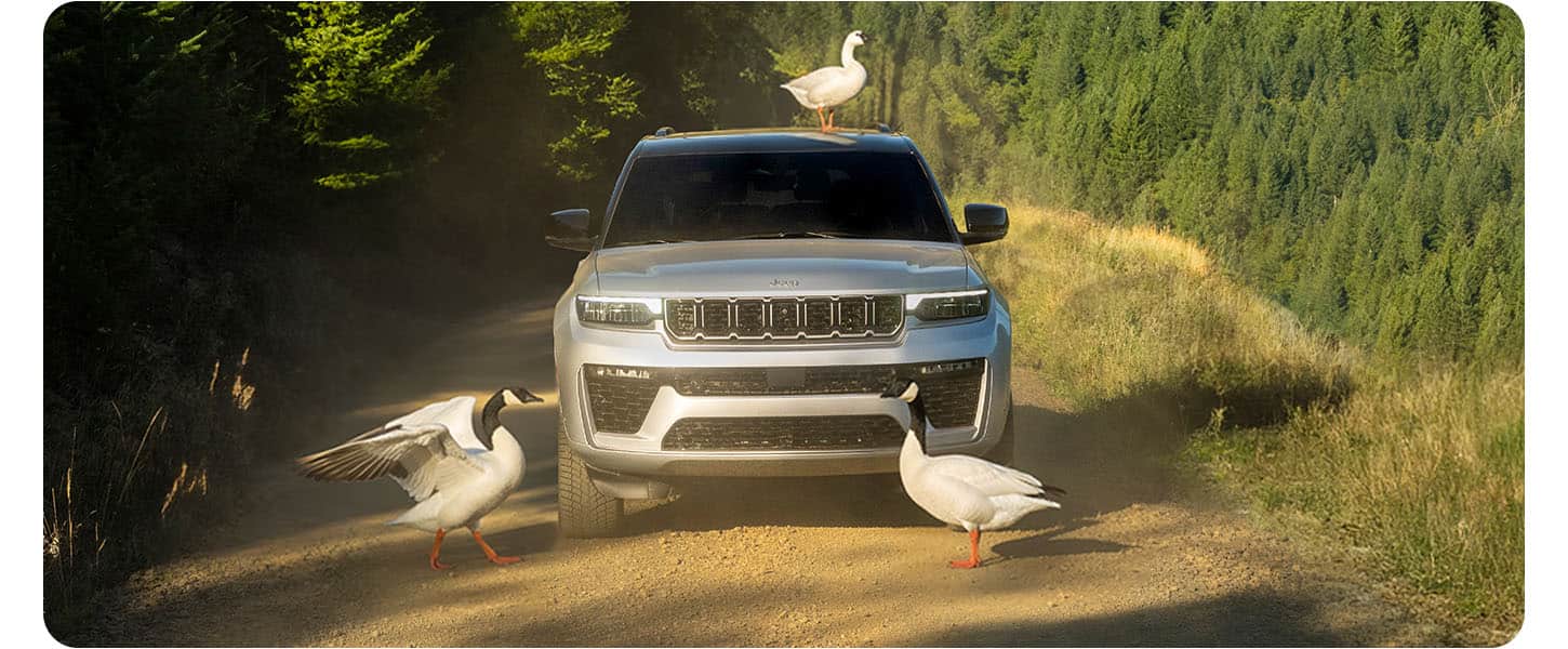 A head-on angle of a silver 2026 Jeep Grand Cherokee Summit on a trail off-road, with two geese blocking its path and a duck on its roof.