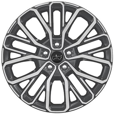 Display 21-Inch Machine Face<br>Standard on Summit and Overland