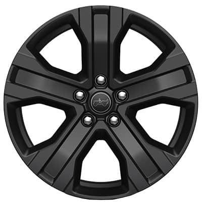 Display 20-Inch Black Noise Painted<br>Standard on Limited Reserve