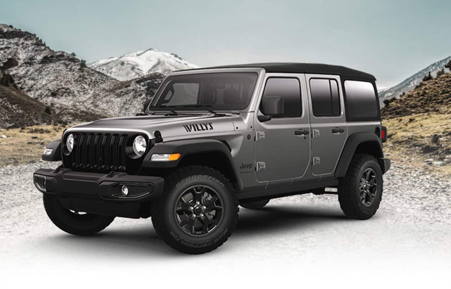 Jeep wrangler willys top